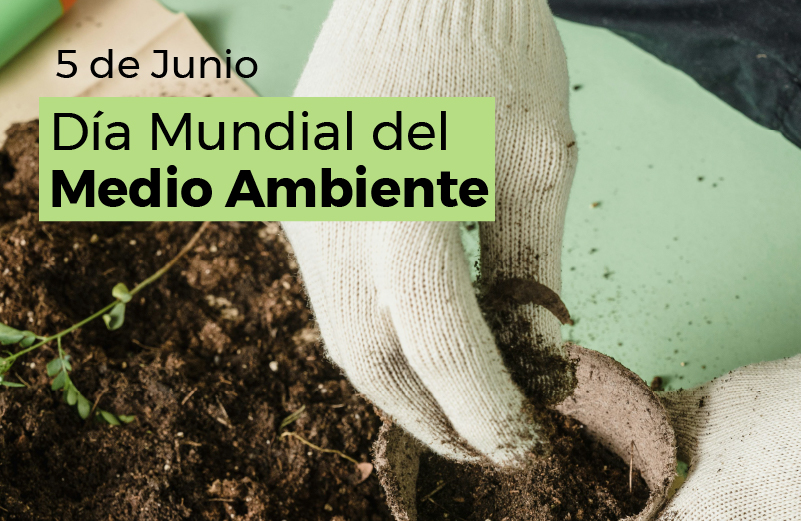 DÍA MUNDIAL DEL MEDIO AMBIENTE