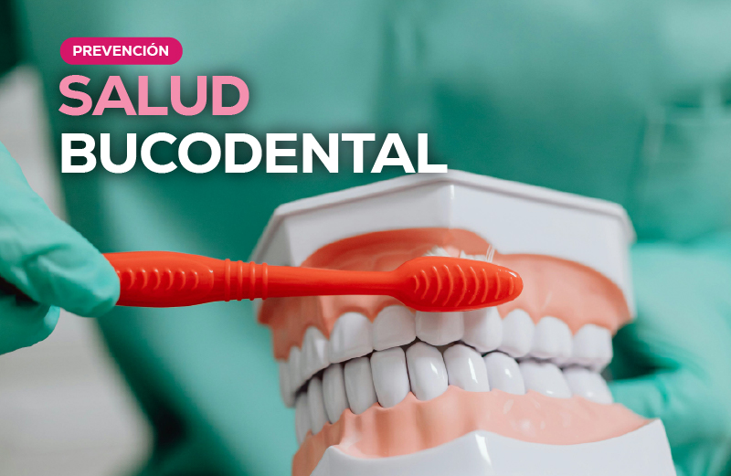 SALUD BUCODENTAL