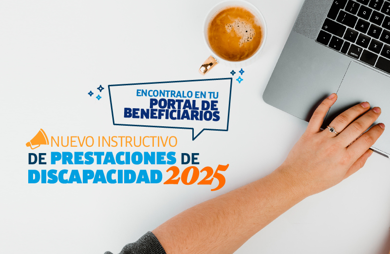 INSTRUCTIVO DISCAPACIDAD 2025