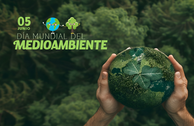 DÍA MUNDIAL DEL MEDIO AMBIENTE