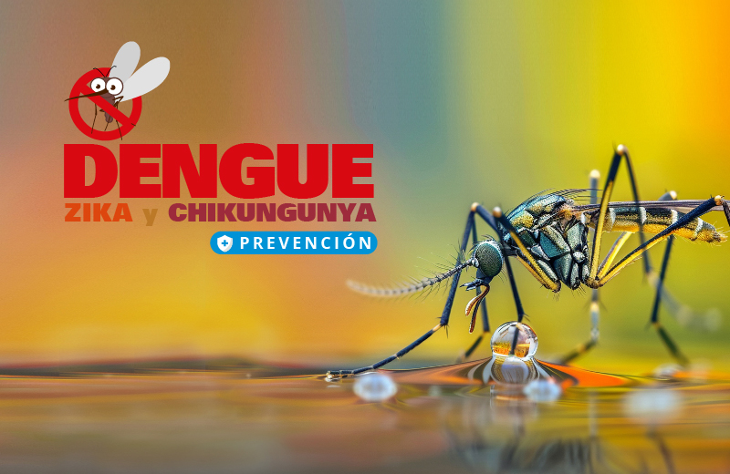 DENGUE