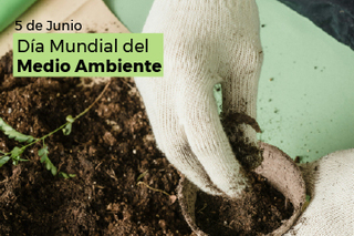 Día Mundial Medio Ambiente