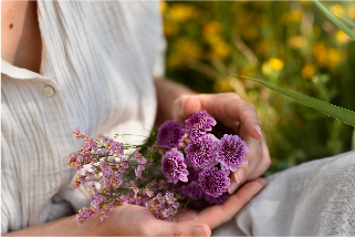 Bienvenida Primavera